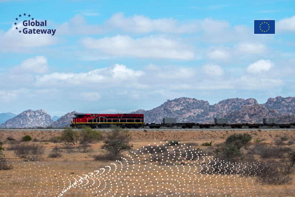 Train in Africa